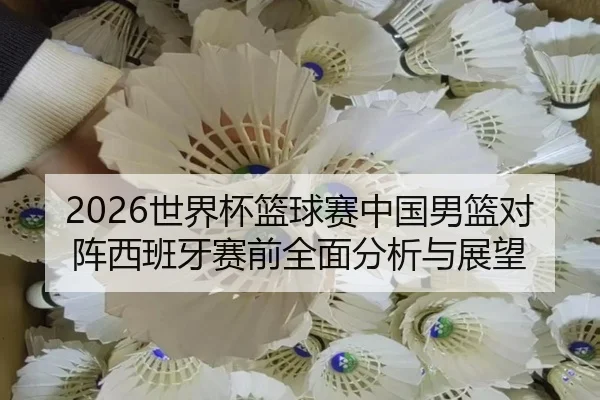 2026世界杯篮球赛中国男篮对阵西班牙赛前全面分析与展望