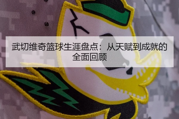 武切维奇篮球生涯盘点：从天赋到成就的全面回顾